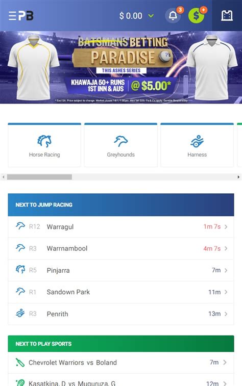 palmerbet review|palmerbet australia.